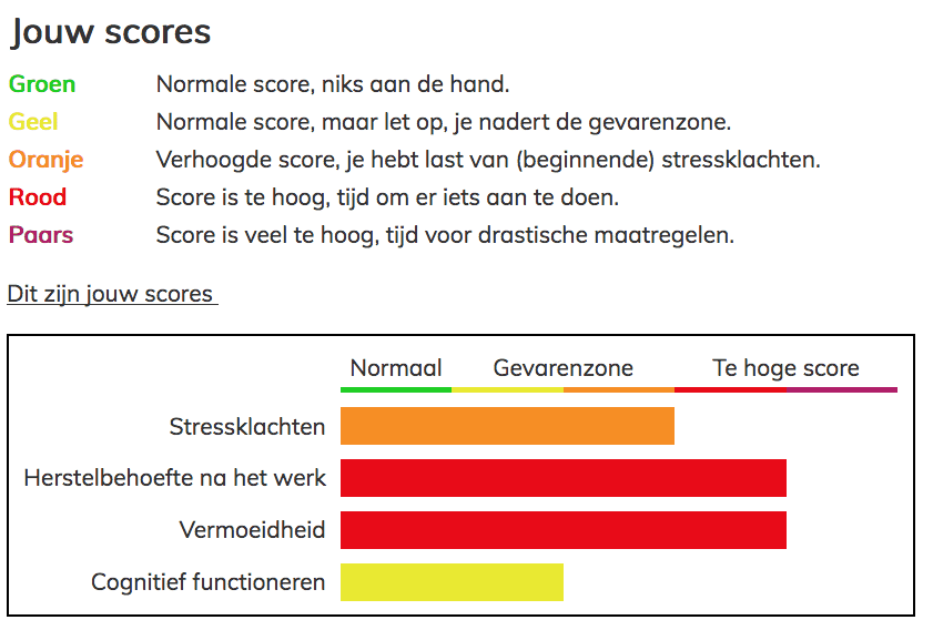 Resultaten van vragenlijstscores - Week van de Werkstress