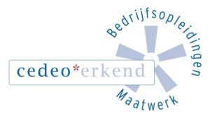 Erkende opleiding stress en burn-out coaching