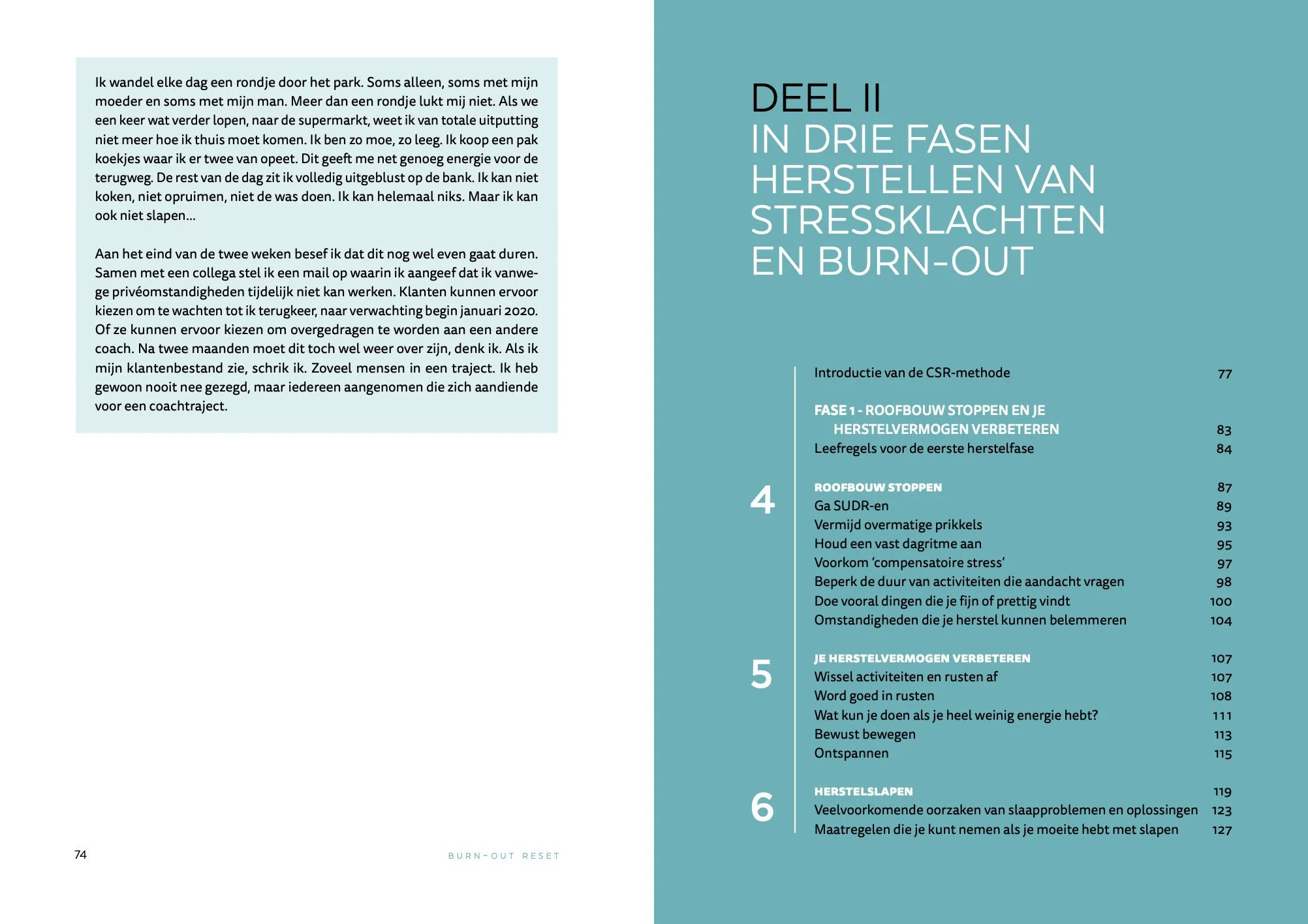 11-exp2-Inkijkexemplaar-Paginas-van-Burn-out-reset.jpg
