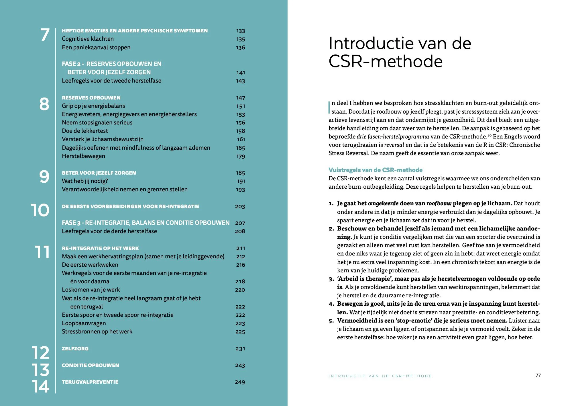 12-exp2-Inkijkexemplaar-Paginas-van-Burn-out-reset.jpg